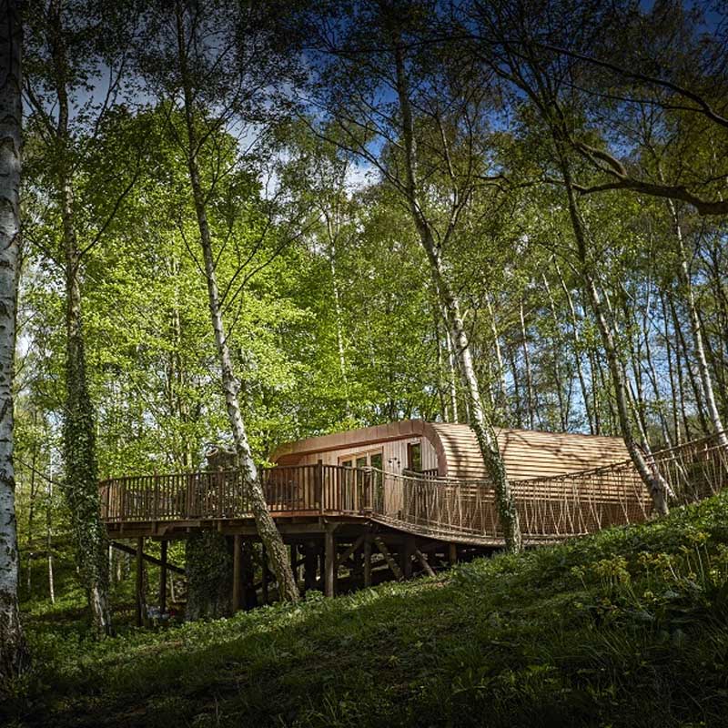 Preview of Treehouse exterior wrapped around oak tree for 3D walkthrough
