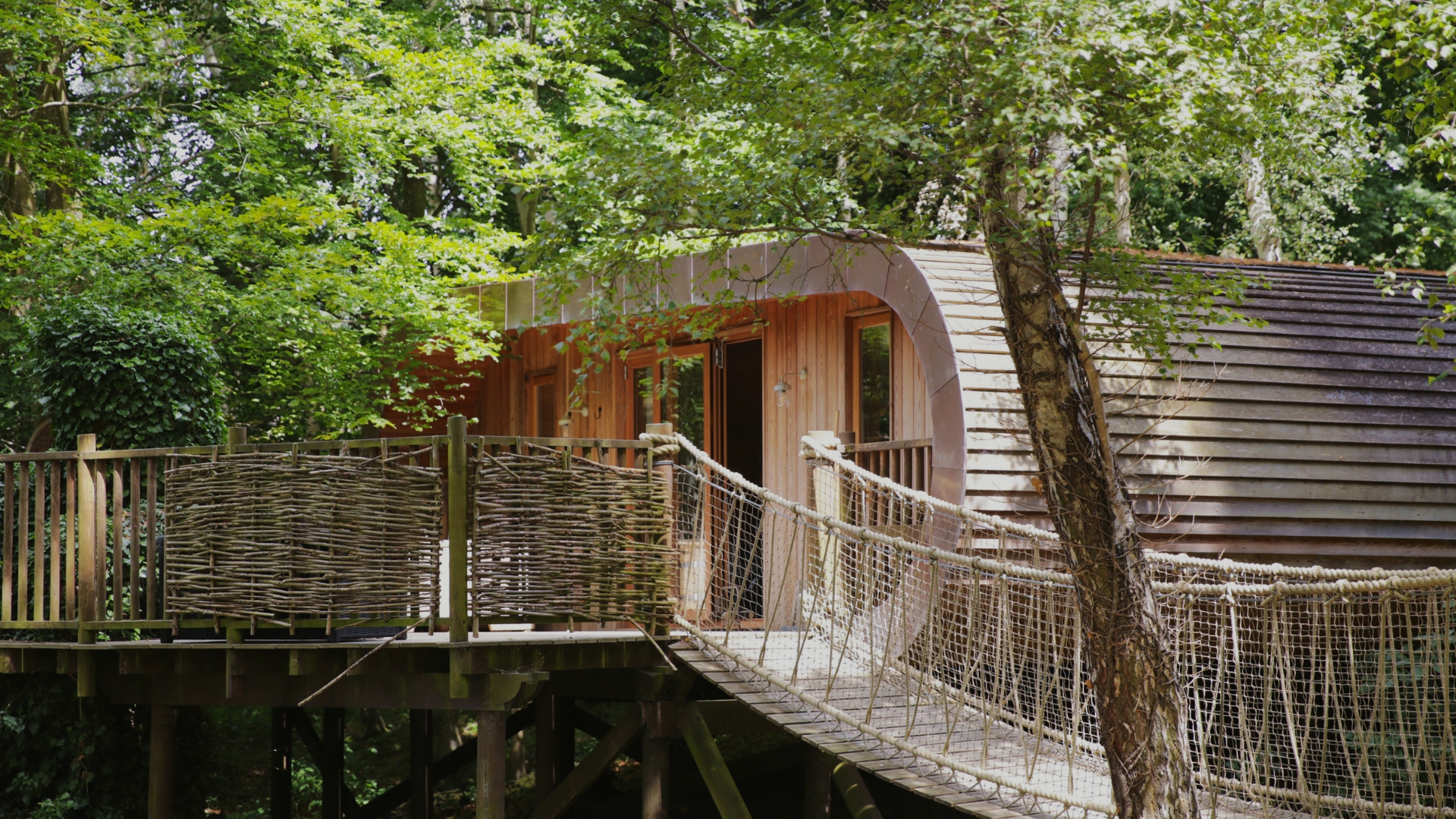 Luxury Treehouse built around mature oak trees with spacious wooden deck